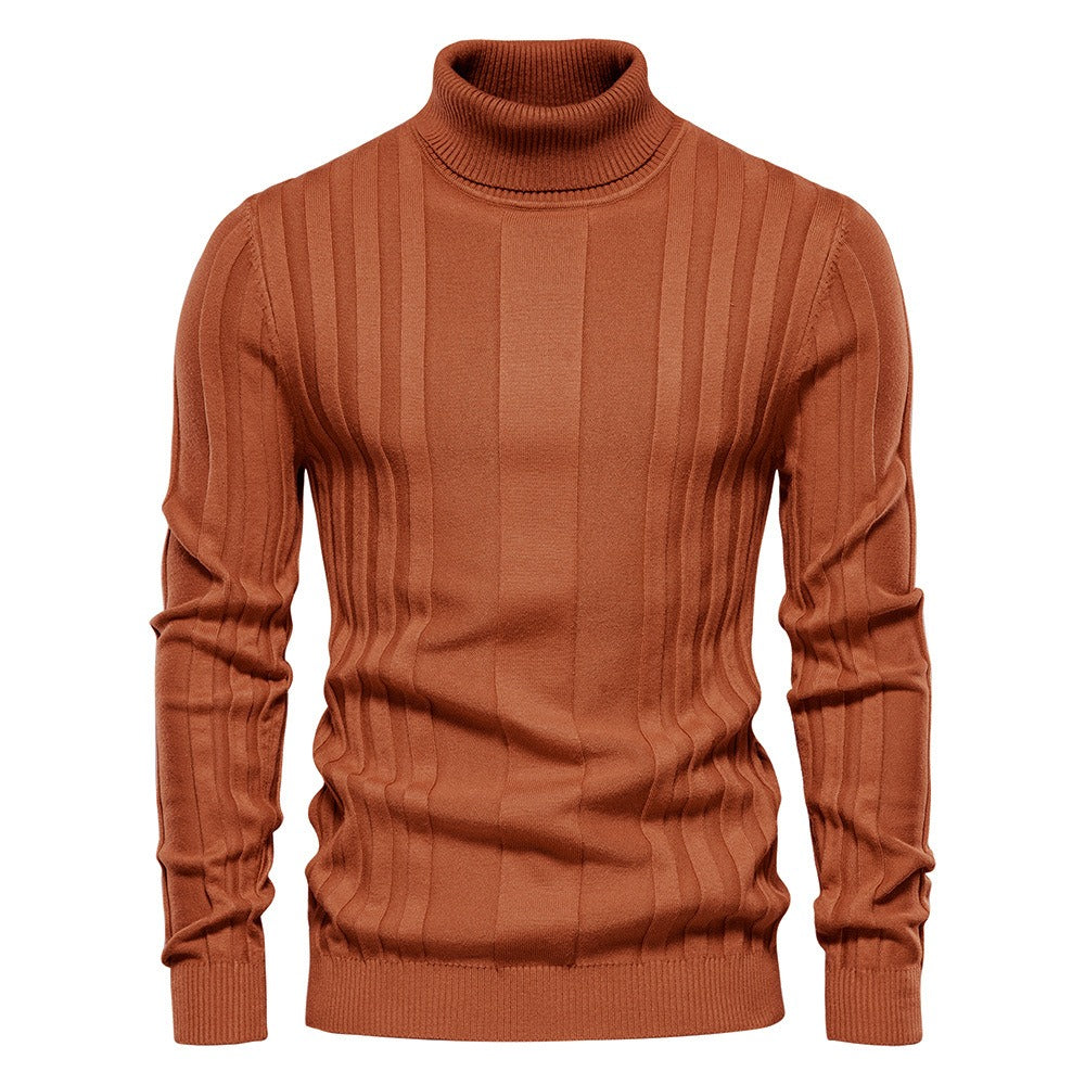 Men's Textured Ribbed Turtleneck Sweater